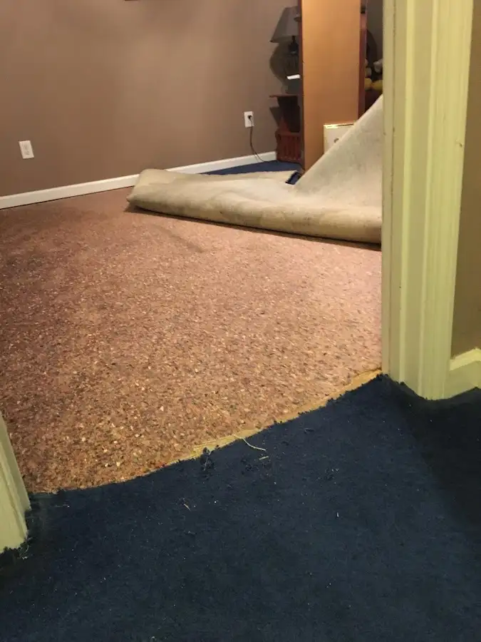 Carpet pad removal revealing water damage during Drying & Dehumidification in Clermont