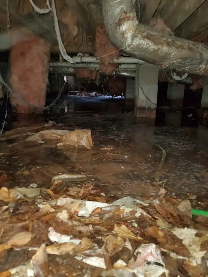 Crawl space flood assessment for Leak Detection & Repair in Clermont